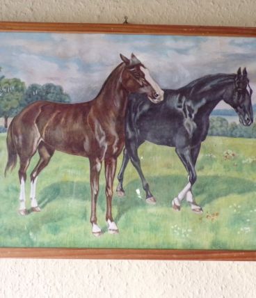 Gouache  cheveaux 
