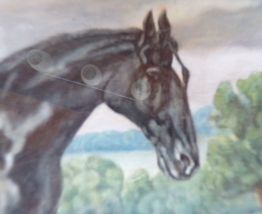 Gouache  cheveaux 