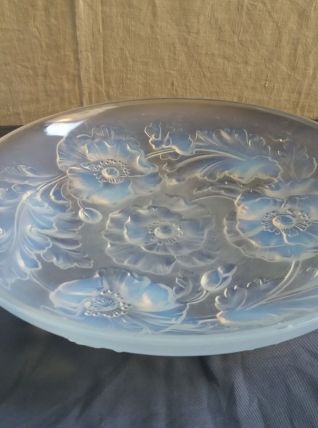 GRANDE COUPE ANCIENNE "SABINO"