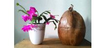 Bac à glaçons en noix de coco véritable-Artisanat 