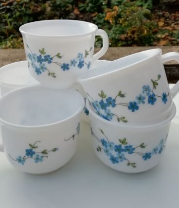 Tasses Arcopal Véronica
