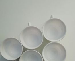 Tasses Arcopal Véronica