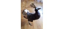 Coq vintage en fer forgé