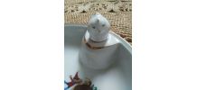 Ancienne assiette "maintien au chaud" en porcelaine fine