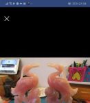 paires de volatilles en quartz rose