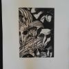 Gravure signée, numérotée, Giovanni Giannini pour Edgar Poe