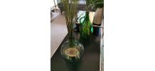 Dame jeanne 3.5L vert d'eau