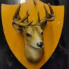 Tête de cerf