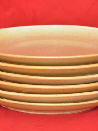 6 assiettes plates en grès Village CNP