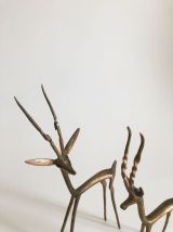 Ensemble antilopes gazelles laiton