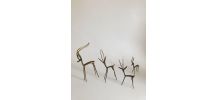 Ensemble antilopes gazelles laiton