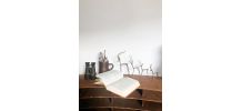Ensemble antilopes gazelles laiton