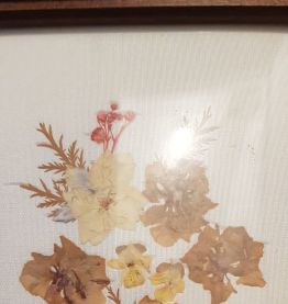 Cadre à fleur sèchées
