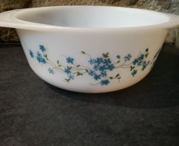 Plat Myosotis