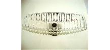 Coupe sur pied en cristal art nouveau 