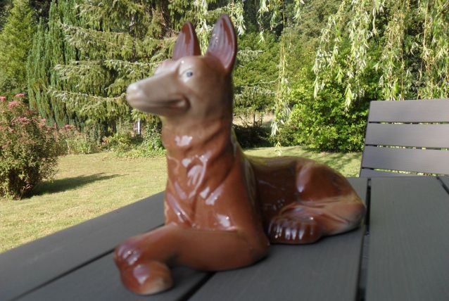 chien Saint Clement numéroté 