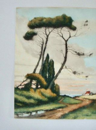 Tableau ancien pin maritime