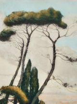 Tableau ancien pin maritime