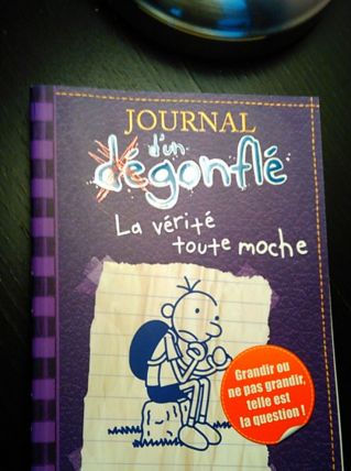 Journal d'un dégonflé N° 5 - La vérité toute moche