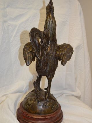 Coq