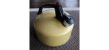 Bouilloire sifflet Regal USA