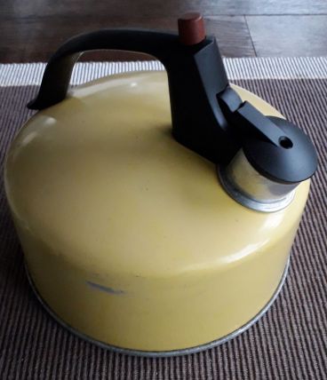 Bouilloire sifflet Regal USA