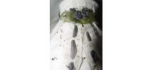 Petite lampe  à poser SHABBY