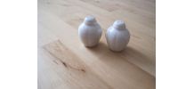 salière poivrière   en faïence  hauteur 5.50 cm