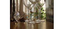 6 verres à vin de dégustation