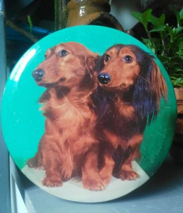 Deux boites en tôle lithographiée - Modèle chiens !