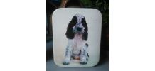Deux boites en tôle lithographiée - Modèle chiens !