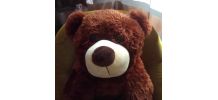Grand ours en peluche