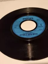 Vinyle 45 Tours Nestor Et David Michel L'écololo 