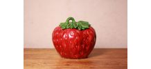 Barbotine Saladier Fraise
