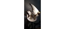 poisson porcelaine blanc et dorure art deco , bon etat   tra