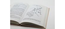 Livre les 38 quintessences florales du docteur Edward Bach