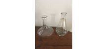 Duo de carafes en verre.