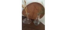 Duo de carafes en verre.