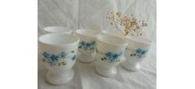 Service coquetiers  Arcopal /Myosotis