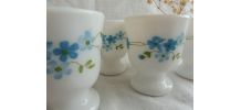 Service coquetiers  Arcopal /Myosotis