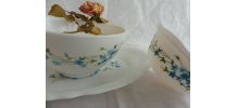 Ensemble Arcopal Myosotis