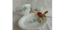 Ensemble Arcopal Myosotis