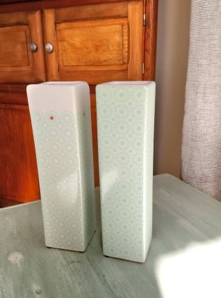 Jolis vases motifs floraux vert et blanc. 
