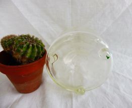 Bocal  piège à guêpes Verre ancien