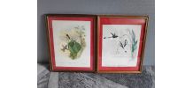 lithographies oiseaux de J. Gould  avec cadre