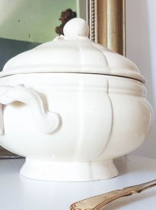 Soupière DIGOIN SARREGUEMINES Ironstone Français Légumier Co