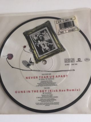 INXS -Picture Disc 45 t