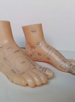Pieds latex réflexologie objet curiosité 
