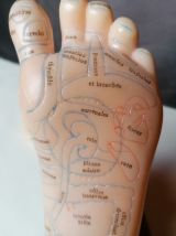 Pieds latex réflexologie objet curiosité 
