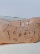 Pieds latex réflexologie objet curiosité 